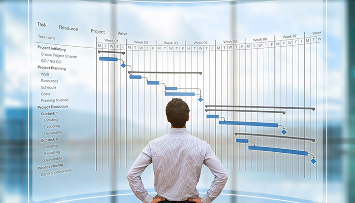 Visualization of project schedule